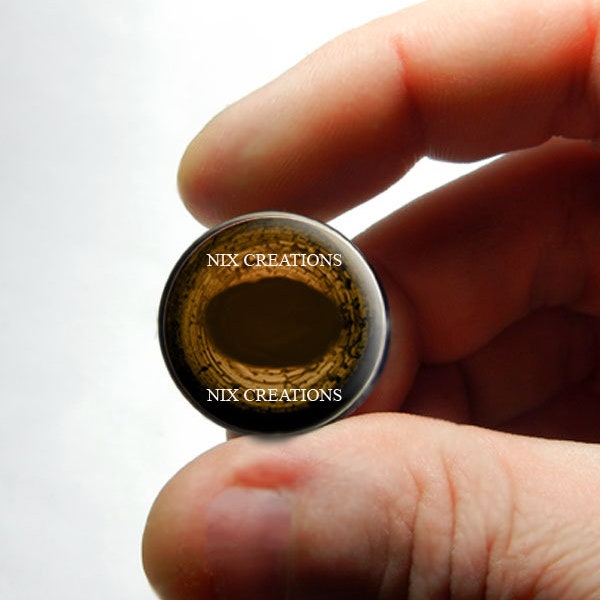 Horse Glass Eyes Light Brown Taxidermy Eye Cabochons 8mm-30mm, Animal Doll Eyes for Sculpture Crafts