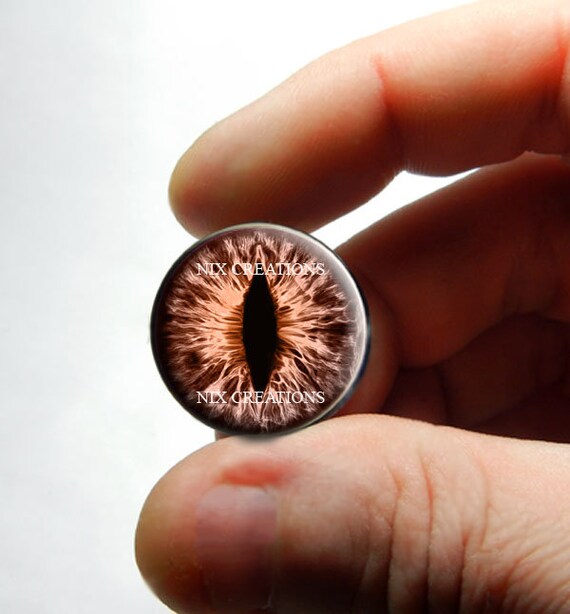 Resin Cab - Horse Eye Medium, Peacock Eye Resin Cab - Horse Eye Medium, Peacock Eye