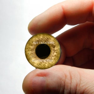 Yeux d'aigle en verre - Sculpture d'oeil d'aigle en verre brun Taxidermie Globes oculaires faits à la main 8 mm 10 mm 12 mm 13 mm 14 mm 16 mm 18 mm 20 mm 25 mm 30 mm