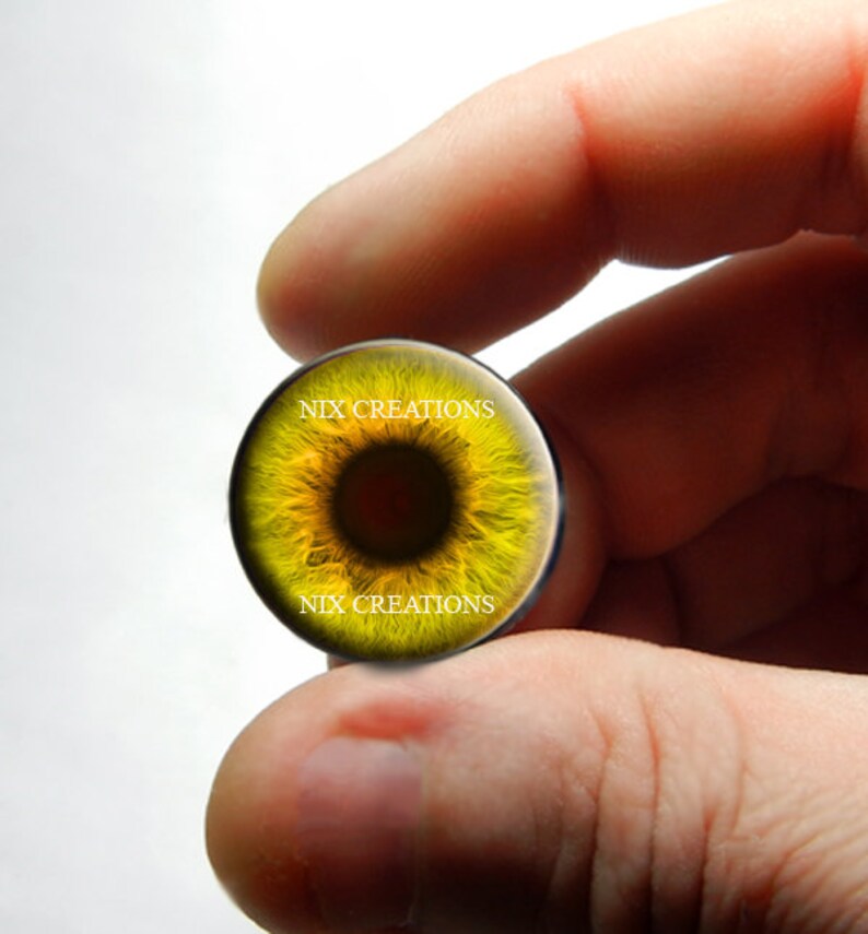 May include: A yellow glass eye with a black pupil and a dark brown iris. The eye is surrounded by a black rim and has the text "NIX CREATIONS" printed on the top and bottom.