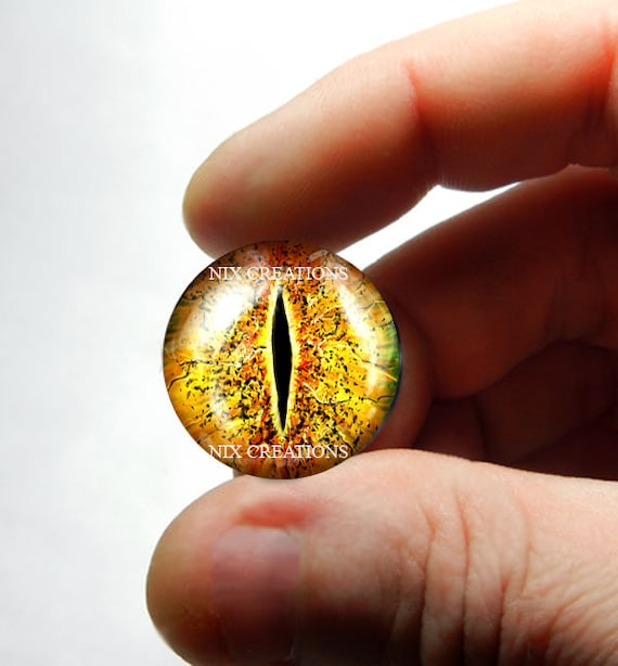 Resin Cab - Horse Eye Medium, Peacock Eye Resin Cab - Horse Eye Medium, Peacock Eye