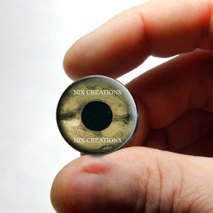 Glasaugen - Schildkröte Glasaugen Taxidermy Augapfel Cabochons 8 mm 10 mm 12 mm 13 mm 14 mm 16 mm 18 mm 20 mm 25 mm 30 mm
