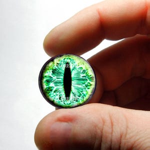 May include: Green and black glass eye with a vertical pupil, resembling a cat's eye. The eye is set in a clear glass dome.