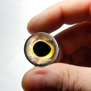 Natural Perch Fish Glass Eyes Eyeball Cabochon for Pendant Earring Ring Blanks 8mm 10mm 12mm 13mm 14mm 16mm 18mm 20mm 25mm 30mm