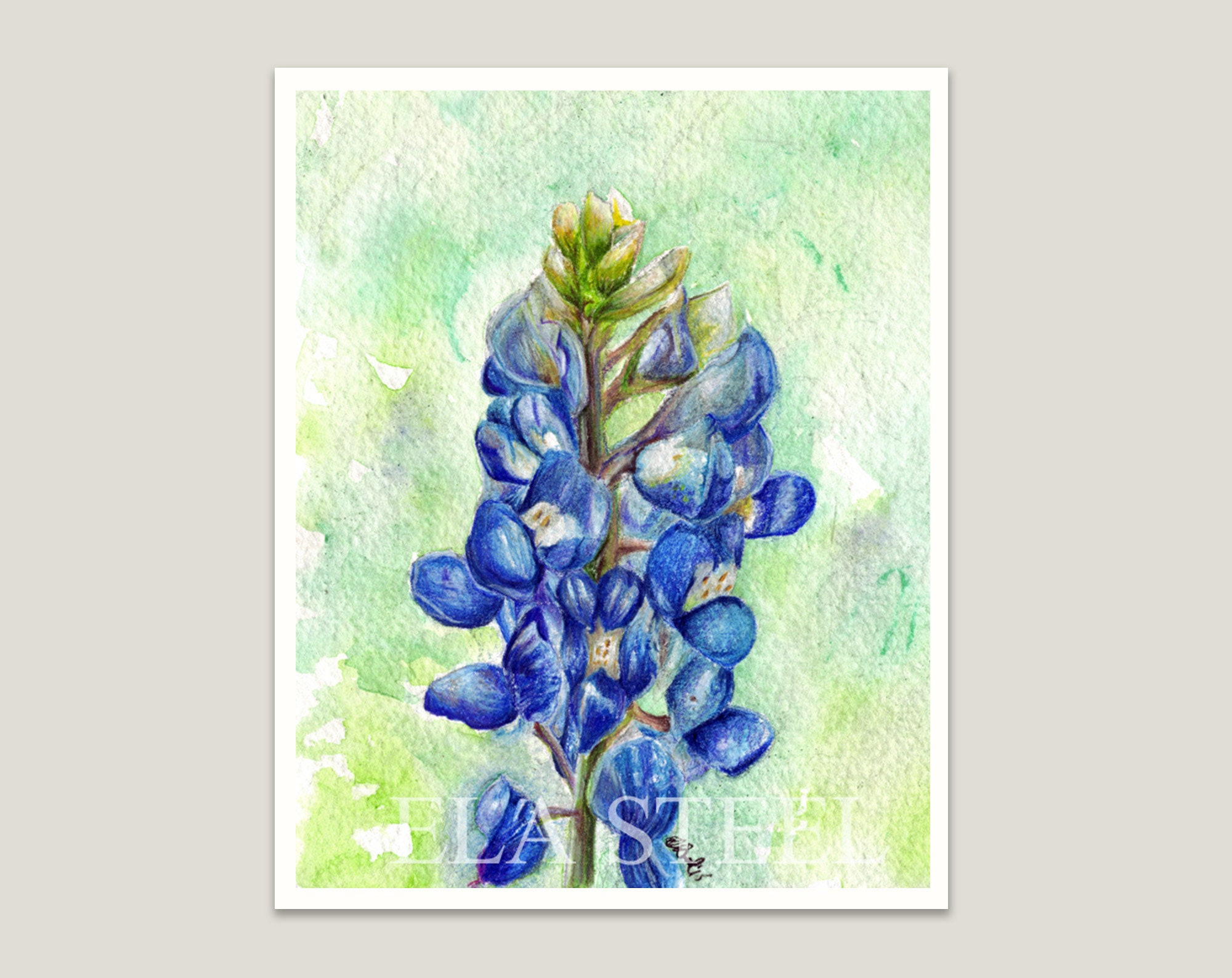 bluebonnet art Home Sweet Home Printable Texas Printable Texas Bluebonnet print Wall Art Print Texas Wall Art Bluebonnet Texas Print
