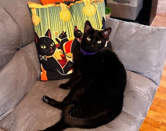 Black Cat Pillow Covers 18x18, Cute Throw Pillows for sofa or bed, Cat Lover Gifts