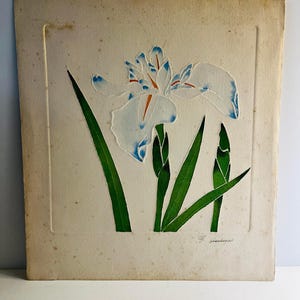 1960s Original Art Irises Hand Colored Print