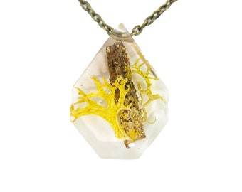 Terrarium Eco Resin Moss Necklace