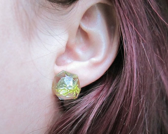 Geometric Terrarium Moss Resin Stud Earrings