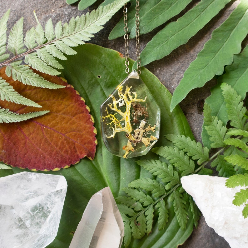 Lichen and Moss Terrarium Eco Resin Moss Necklace