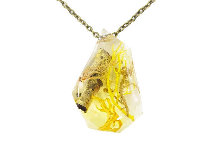 Terrarium Necklace, Lichen Moss Resin Jewelry