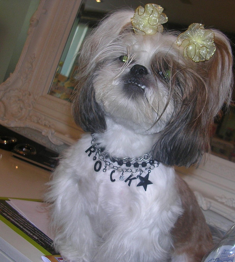 Beaded Dog Collar, Rosary Necklace, Small Pet Jewelry Dog Lover Gifts Bild 4