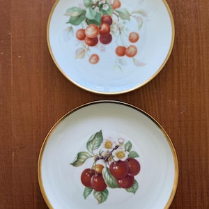 Vintage Decorative Plates-set of two
