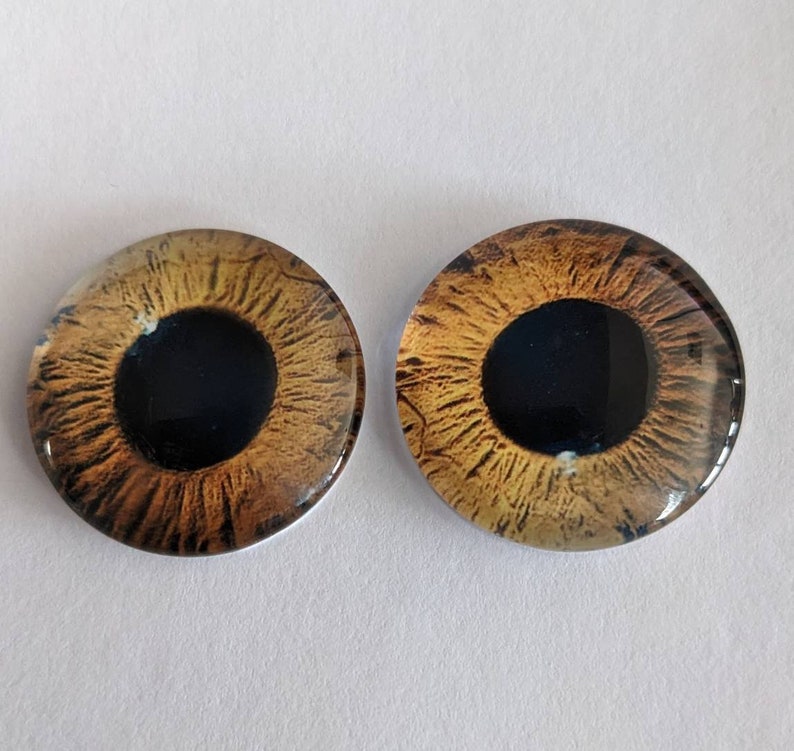 One pair of glass eyes amber colour various sizes image 1