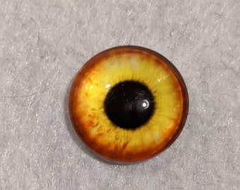 One pair of glass eyes yellow and rusty orange choose size