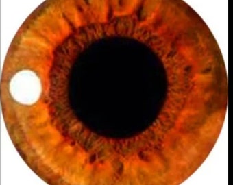 One pair of amber glass eyes  various sizes