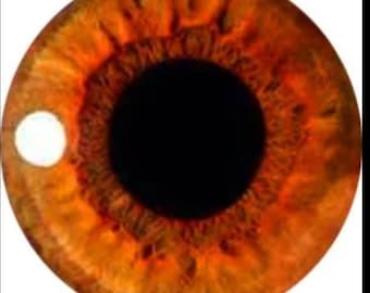 1 pair glass craft eyes  various sizes amber colour