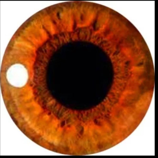 One pair of amber glass eyes  various sizes