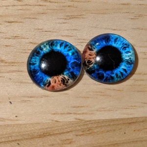 May include: Two blue glass eyes with black pupils and orange and white accents. The eyes are round and have a glossy finish.
