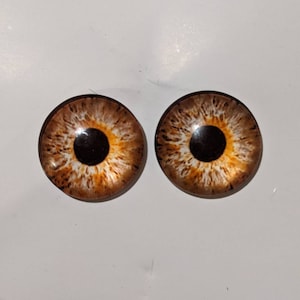 One pair of glass cabachon eyes 20 mm choose from light or dark brown