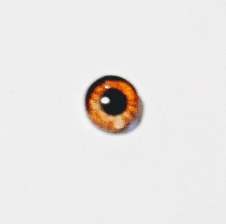 One pair of glass eyes with metal posts 6mm 12mm various colours Bild 7