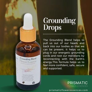 Grounding Flower Essence Drops | Root Chakra Balance | Calming Natural Remedy for Energetic Stability