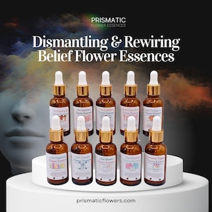 Asceinsion Healer Dismantling & Rewiring Beliefs Flower Essence Kit| Chakra Alignment | Vibrational Medicine | Spiritual Growth