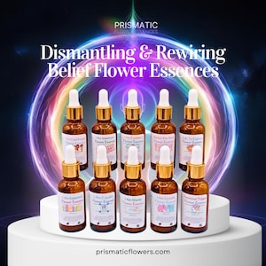 Ascension Healer Dismantling & Rewiring Beliefs Flower Essence Kit| Chakra Alignment | Vibrational Medicine | Spiritual Growth