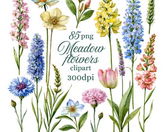 Meadow Flower Clipart Bundle – 85 Watercolor Wildflower PNG Commercial Use