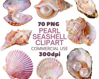 Pearl Seashell Clipart Bundle – 70 Realistic Ocean Seashell PNG Commercial Use