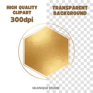 May include: A gold-colored hexagon shape inside a gold circle, with the words "HIGH QUALITY CLIPART 300dpi" and "TRANSPARENT BACKGROUND" in brown text. The words "SELENIQUE STUDIO" are at the bottom.
