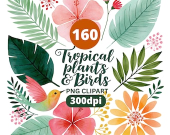 Tropical Plants and Birds Clipart Bundle – 160 Watercolor Exotic Leaf Flower PNG Commercial