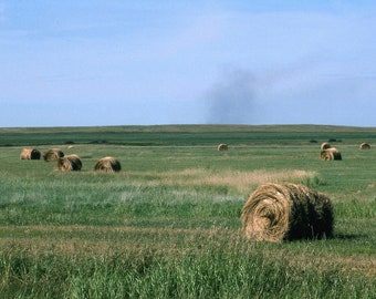 Fox And Hay Bale Etsy