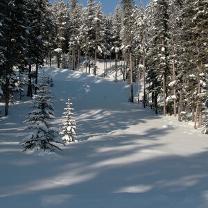 photographie 5X7 carte vierge faite à la main. paysage d'hiver