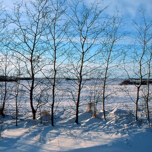 Ensemble de 3 photographies, cartes vierges faites main, 5 x 7 pouces, paysages d'hiver