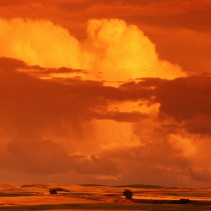 photographie 5 x 7 cartes vierges d'été paysages ruraux, paysages