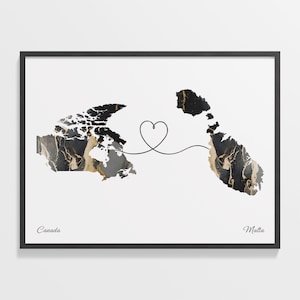 Maltesisches Poster, maltesisches Poster, maltesisches Poster, marmoriert, marmoriert, C22-711