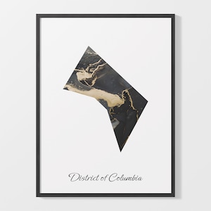 District of Columbia Art Print, Washingtonian kaartposter, elegant country artwork, zwart en goud DC schilderij, getextureerde muurkunst, C25-208