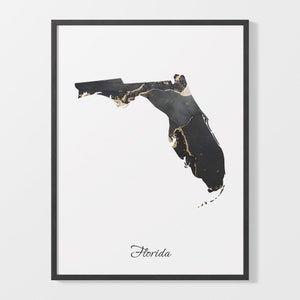 Florida Art Print, kaartposter Florida, elegante landelijke kunstwerken, zwart-gouden FL-schilderij, metallic kaartafdruk, C25-210