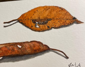 Potrait of two wild cherry tree leaves original watercolor painting by Jennifer St. Clair