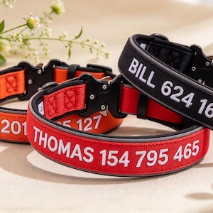 May include: Three adjustable pet collars in orange, red, and black, each featuring a black metal buckle and white text. The orange collar reads LEO 201, the red collar reads THOMAS 154 795 465, and the black collar reads BILL 624 165 197.