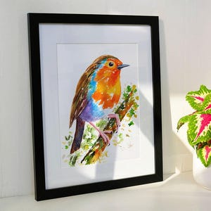 Robin Painting - Original Watercolour - Garden Bird Wall Art - Gifts For Bird Lovers
