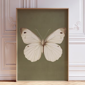 Vintage Butterfly Print | Victorian Butterfly Print | Sage Green Butterfly Wall Art | White Butterfly Print | Vintage Butterfly Wall Art