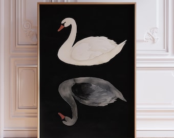 Black and White Swan Wall Art Print