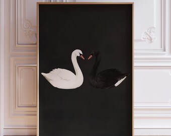 Black and White Swan Wall Art Print