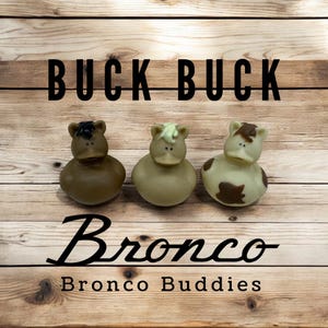 Buck Buck Bronco Buddies - Horses