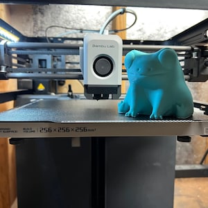 May include: A teal blue 3D printed frog figurine sitting on a black and white textured surface. The surface has a warning label that reads "Warning! Hot Surface" and a label that reads "Build Volume 256 x 256 x 256 mm".
