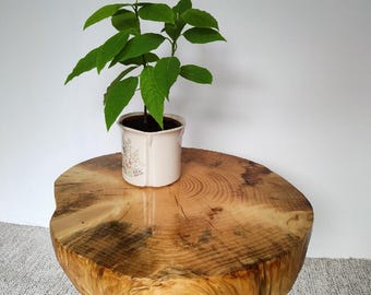 Könnte beinhalten: Kleiner, runder Beistelltisch aus Holz mit natürlicher Holzmaserung. Der Tisch hat drei schwarze Haarnadelbeine aus Metall. Eine kleine Topfpflanze mit grünen Blättern steht darauf. Der Tisch hat einen Durchmesser von etwa 46 cm.