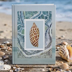 Florida Shelling Notes Journal | Seashell Cover Hardcover Notebook, Junonia Shell Beach Comber Notes