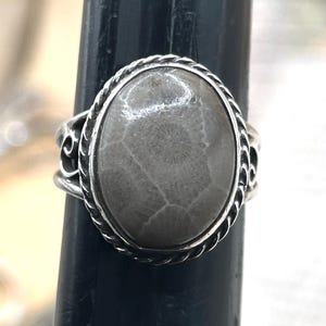 May include: A silver ring with a gray fossilized stone set in a rope-like design.